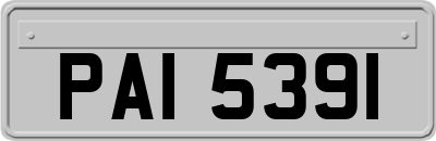 PAI5391