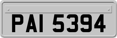 PAI5394