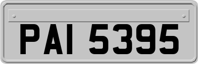 PAI5395