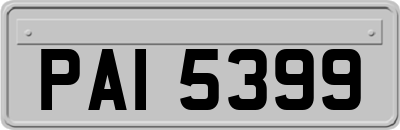 PAI5399