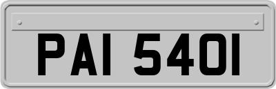 PAI5401