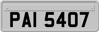 PAI5407