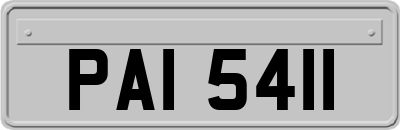 PAI5411