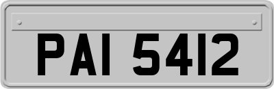 PAI5412