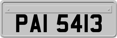 PAI5413