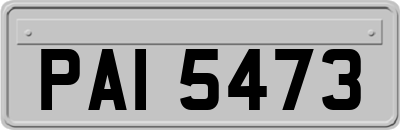 PAI5473