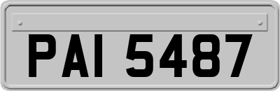 PAI5487
