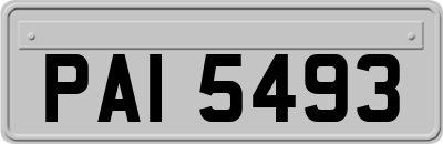 PAI5493