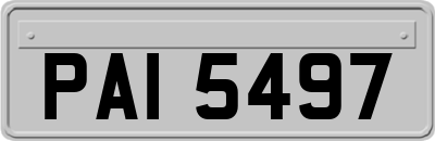 PAI5497