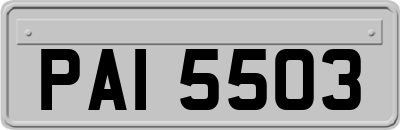 PAI5503