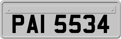 PAI5534