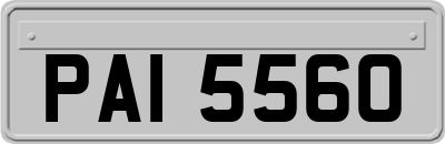 PAI5560