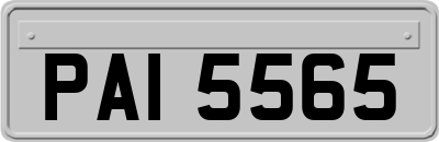 PAI5565
