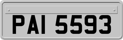 PAI5593