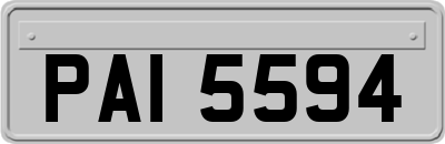 PAI5594
