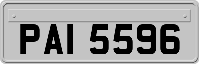 PAI5596