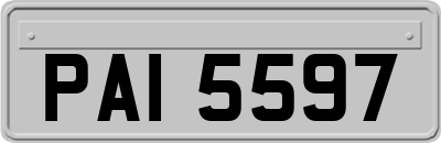 PAI5597