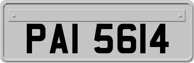 PAI5614