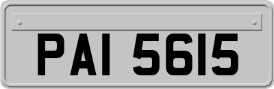 PAI5615