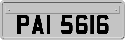 PAI5616