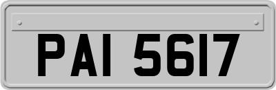 PAI5617