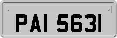 PAI5631