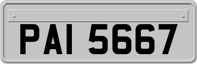 PAI5667