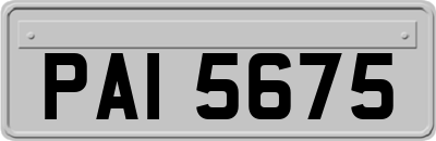 PAI5675