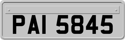 PAI5845