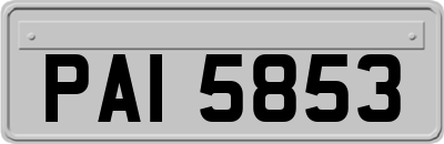 PAI5853