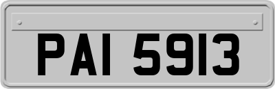 PAI5913