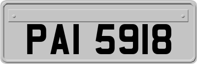 PAI5918