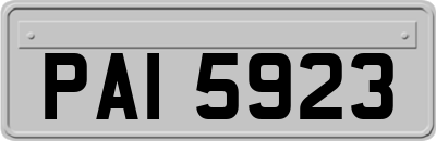 PAI5923