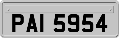 PAI5954