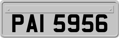 PAI5956