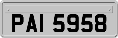 PAI5958