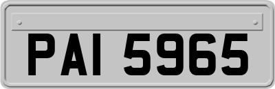 PAI5965