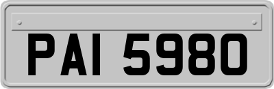 PAI5980