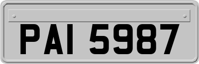 PAI5987