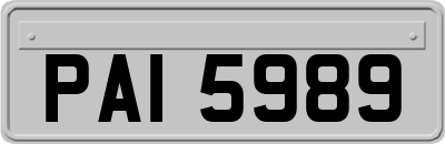 PAI5989