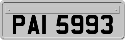PAI5993