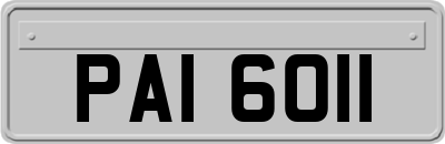 PAI6011