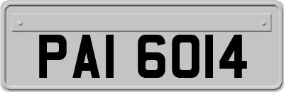 PAI6014