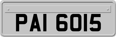 PAI6015