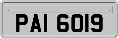 PAI6019