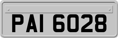 PAI6028