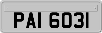 PAI6031