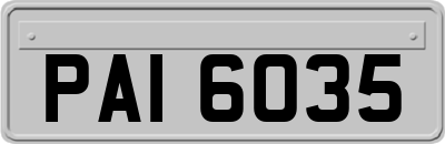 PAI6035