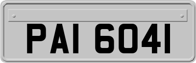 PAI6041