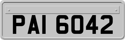 PAI6042